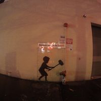 Le foto di Ross Favaloro