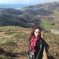 Shereen Abu Bader的照片