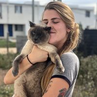 Photos de Carol Núñez