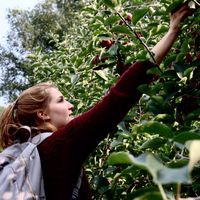 Leonie Bismarck的照片