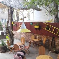 Aleksandar Nedinkovski的照片