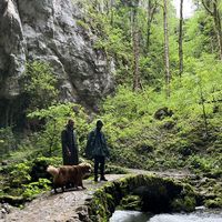 Ria Ileršič's Photo