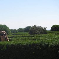 Yvonne Redde的照片