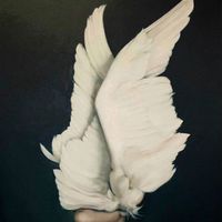 Justyna Cegieła's Photo