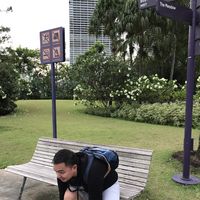 Molan Molan的照片