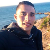 Mohamed El Fargali的照片