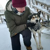 Petar Kosijer的照片