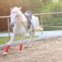 Фотографии пользователя JACK PORTER