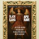 Bilder von Apu Rave