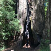 Timm Stephan的照片