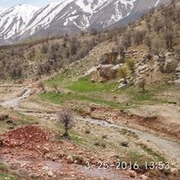 Photos de Hamid Mousavi