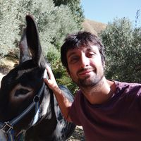 Fotos de Fran Santana