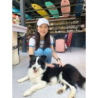 Фотографии пользователя Ting Luo