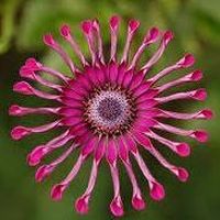 Mrsameh Momobile的照片