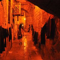 ana campayo的照片