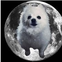 Beata Waszczuk's Photo