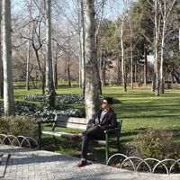 Le foto di alireza moodi