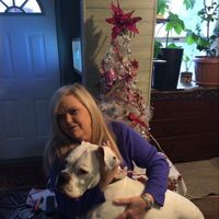 Donna Nelson's Photo