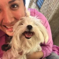 Su Seminario's Photo