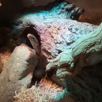 daniel munoz的照片