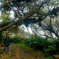 Zav Grabinski's Photo