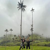 NereayToni C的照片