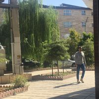 Amirhosein Abbasi的照片