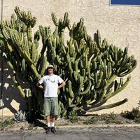 Finlay Sullivan's Photo