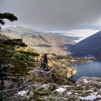 Photos de Jonathan Graham