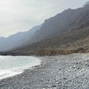 Ras Abu Dawood Hike & Swim's picture