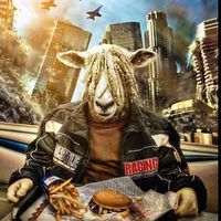 Diego Zamboni的照片