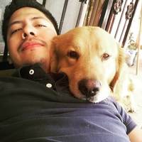 Fotos von Gregorio Jermac