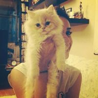 Le foto di Sirin Eglarest