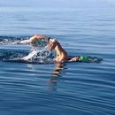 Open Water's picture