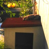 Antton Mendi's Photo