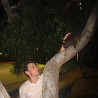 Vincent Roux's Photo