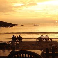 Bram Joling的照片