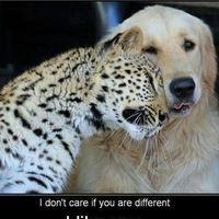 Alejandra Leon的照片