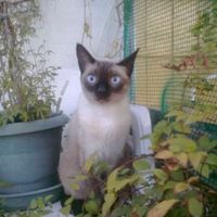 veronica Plaza espinosa's Photo