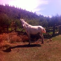 surfing travel's Photo