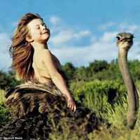 Le foto di Elvina Cadet