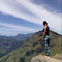 Katelina Li的照片