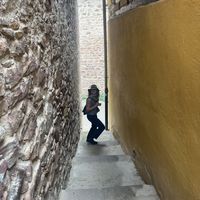 Araz İncesoy的照片