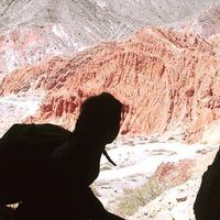 Alexis Pettito的照片