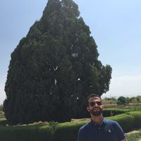 Pooyan Kabir的照片