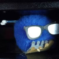 Michele Cadigan的照片