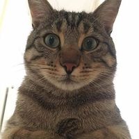 Engin Deniz的照片