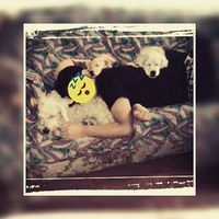 Nicolás Alvarado的照片