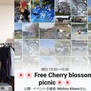 Cherry Blossom Picnic's picture