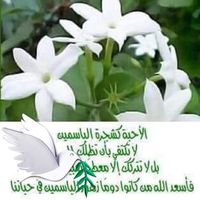 Basmiray Chater's Photo